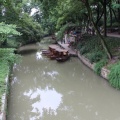IMG_6603.JPG
